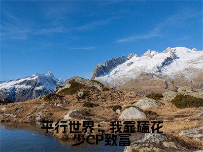 平行世界：我靠磕花少CP致富全文免费阅读无弹窗大结局_（平行世界：我靠磕花少CP致富阅读无弹窗） 林晨秦海露最新章节列表_笔趣阁（ 林晨秦海露）