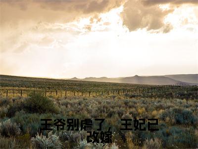 王爷别虐了,王妃已改嫁无广告免费阅读-小说顾千舟君墨沉最后结局如何