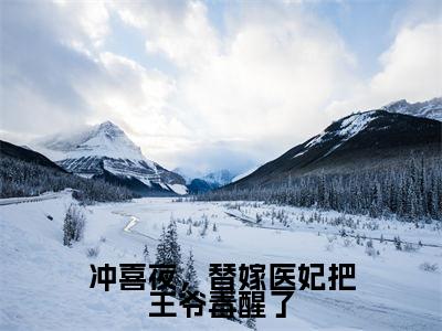 冲喜夜,替嫁医妃把王爷毒醒了小说慕晚吟萧惊寒无弹窗免费阅读-最新小说冲喜夜,替嫁医妃把王爷毒醒了(慕晚吟萧惊寒)全文阅读