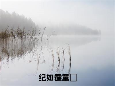 纪如霆童婳小说（童婳纪如霆）精彩章节-童婳纪如霆全文免费在线阅读