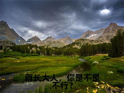 阮宁锦叶季同（首长大人，你是不是不行？）是什么小说_主角是（阮宁锦叶季同）的小说（首长大人，你是不是不行？）最新章节无弹窗阅读