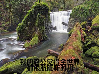 我的老公觉得全世界都很肮脏靳时川抖音新上免费热文 沐芷晴靳时川完结免费阅读无弹窗