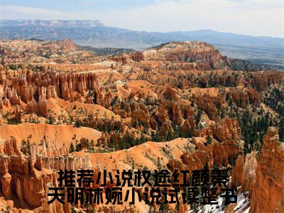 权途红颜秦天明林婉小说试读整书（ 秦天明尹雪晚）全文免费阅读无弹窗_ 秦天明尹雪晚小说_笔趣阁