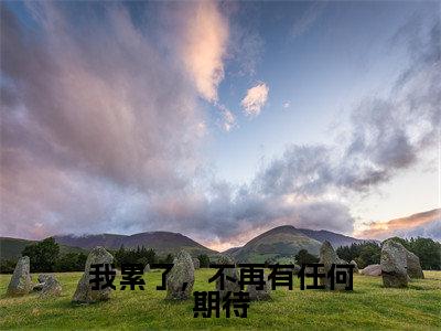 我累了,不再有任何期待(桑梦季斯汀)完结版小说-我累了,不再有任何期待小说全文免费阅读笔趣阁