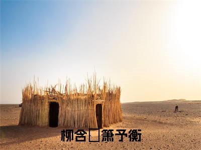 柳含玥箫予衡(柳含玥箫予衡)全文免费阅读无弹窗_（柳含玥箫予衡全文免费阅读无弹窗）柳含玥箫予衡最新章节列表