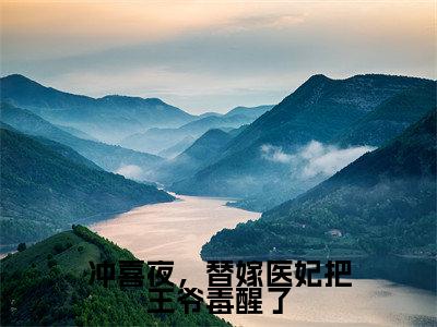 冲喜夜，替嫁医妃把王爷毒醒了全文免费阅读无弹窗大结局_（慕晚吟萧惊寒）最新章节列表_笔趣阁（冲喜夜，替嫁医妃把王爷毒醒了小说）