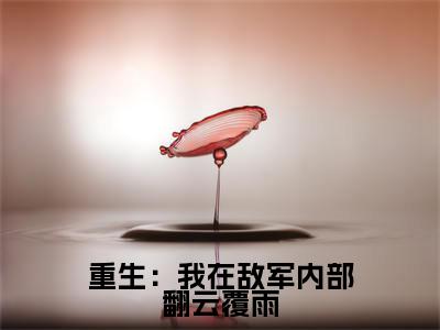 李伟小说(重生:我在敌军内部翻云覆雨)全文免费阅读_重生:我在敌军内部翻云覆雨最新章节列表笔趣阁(李伟)