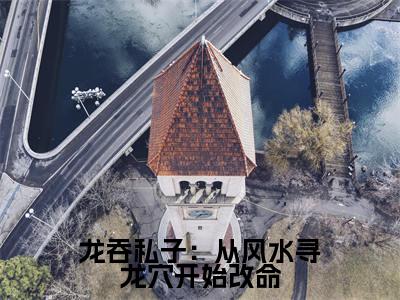 （ 龙十八姜九萱)全文免费阅读无弹窗大结局_龙吞私子：从风水寻龙穴开始改命完整版最新阅读_笔趣阁（ 龙十八姜九萱）
