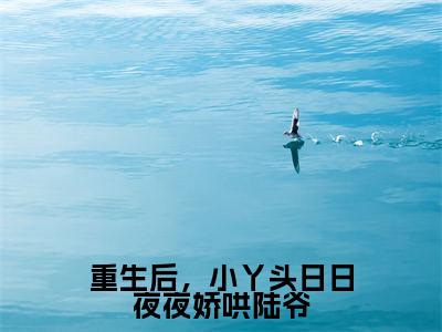 重生后,小丫头日日夜夜娇哄陆爷(陆北承宋芷嫣)多人追免费无弹窗小说-主角陆北承宋芷嫣完整版在线阅读(重生后,小丫头日日夜夜娇哄陆爷)