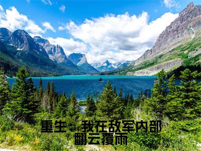 李伟免费阅读无弹窗大结局,重生:我在敌军内部翻云覆雨最新章节
