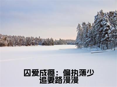 薄晏寒洛孀小说(囚爱成瘾:偏执薄少追妻路漫漫)无弹窗大结局-囚爱成瘾:偏执薄少追妻路漫漫(薄晏寒洛孀)完整版免费阅读