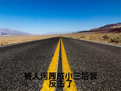  苏丽程薇（被人污蔑成小三后我反击了）全文免费阅读无弹窗大结局_ 苏丽程薇全文免费阅读（被人污蔑成小三后我反击了）最新章节列表