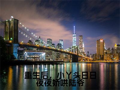 陆北承宋芷嫣是什么小说-重生后,小丫头日日夜夜娇哄陆爷小说陆北承宋芷嫣全文阅读