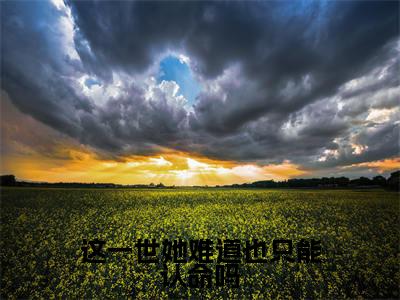 这一世她难道也只能认命吗阅读无弹窗大结局_(陆景泽江梨阅读无弹窗)最新章节列表_笔趣阁(陆景泽江梨)