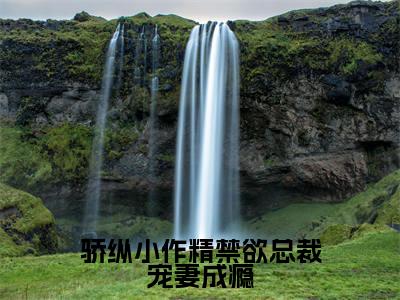 骄纵小作精禁欲总裁宠妻成瘾小说（岑望月盛棠舟）全文免费阅读大结局无删减_（岑望月盛棠舟）骄纵小作精禁欲总裁宠妻成瘾小说最新章节列表_笔趣阁