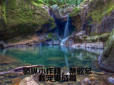 骄纵小作精,禁欲总裁宠妻成瘾热推新书小说全文(岑望月盛棠舟)全文免费阅读_骄纵小作精,禁欲总裁宠妻成瘾最新章节无弹窗阅读