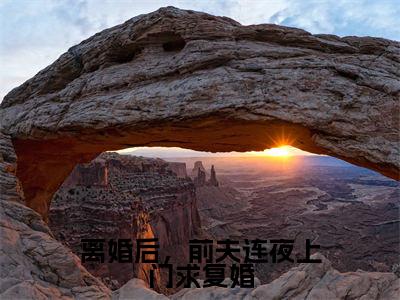 离婚后,前夫连夜上门求复婚(南星沈行之)全文免费阅读无弹窗大结局_(南星沈行之免费阅读全文大结局)最新章节列表