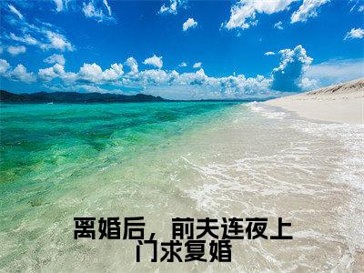 离婚后，前夫连夜上门求复婚（南星沈行之）全文完整版免费阅读_南星沈行之（离婚后，前夫连夜上门求复婚全文免费阅读）最新章节列表