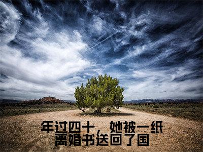 年过四十，她被一纸离婚书送回了国徐念宁孟景州小说热门全集在线观看 年过四十，她被一纸离婚书送回了国免费章节试读