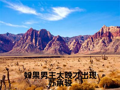 梁爽苏承骏（如果男主太晚才出现苏承骏）全文免费阅读无弹窗大结局_如果男主太晚才出现苏承骏全文阅读_笔趣阁（梁爽苏承骏）