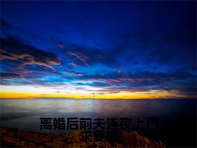 离婚后前夫连夜上门求复婚小说全文免费阅读南星沈行之免费完整版阅读