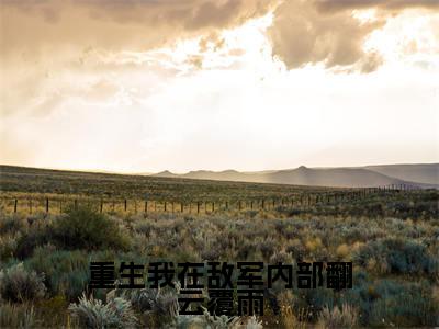 重生我在敌军内部翻云覆雨(李伟)全文免费阅读无弹窗大结局_(重生我在敌军内部翻云覆雨免费阅读全文大结局)最新章节列表
