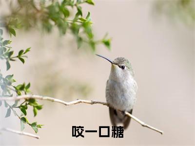 咬一口糖(许棠沈确宴)小说全文免费阅读无弹窗大结局_许棠沈确宴全文免费阅读