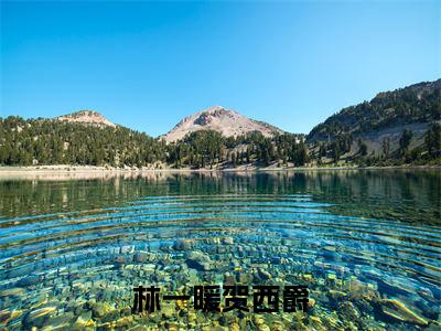 贺西爵林一暖(贺西爵林一暖)全文免费阅读无弹窗_林一暖贺西爵小说免费阅读_笔趣阁