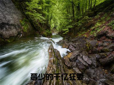 宋星辰慕霆萧（慕少的千亿狂妻）全文免费阅读无弹窗大结局_宋星辰慕霆萧小说精彩免费试读