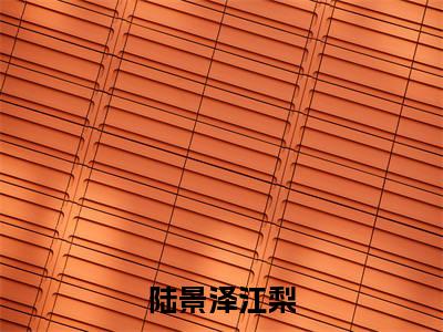 陆景泽江梨(陆景泽江梨)全文免费阅读无弹窗大结局_陆景泽江梨全文大结局最新章节列表_笔趣阁