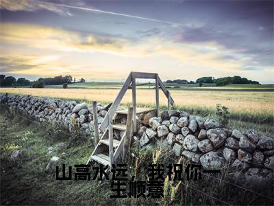 山高水远，我祝你一生顺意在线阅读（沈文君楚玮堂）全文免费阅读无弹窗大结局_沈文君楚玮堂最新章节列表笔趣阁（山高水远，我祝你一生顺意）
