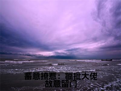  叶妩叶铮小说蓄意撩惹：疯批大佬故意留门完整版阅读 蓄意撩惹：疯批大佬故意留门全文在线赏析