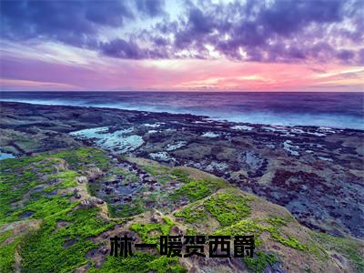 林一暖贺西爵(贺西爵林一暖)全文免费阅读无弹窗完整版,(林一暖贺西爵)免费阅读全文最新章节列表_笔趣阁