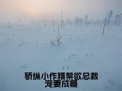 骄纵小作精禁欲总裁宠妻成瘾(岑望月盛棠舟)全文免费阅读_骄纵小作精禁欲总裁宠妻成瘾(岑望月盛棠舟)最新章节小说免费阅读