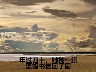 年过四十，她被一纸离婚书送回了国阅读无弹窗大结局_（徐念宁孟景州阅读无弹窗）最新章节列表_笔趣阁