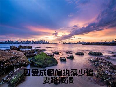 囚爱成瘾偏执薄少追妻路漫漫小说全文免费阅读最新章节_薄晏寒洛孀（囚爱成瘾偏执薄少追妻路漫漫）免费观看完结版_笔趣阁（薄晏寒洛孀）