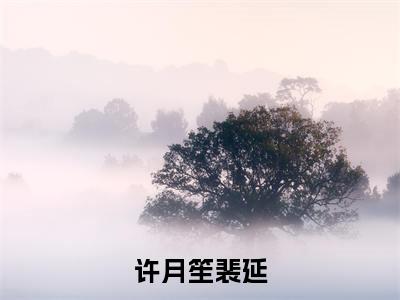 许月笙裴延(裴延许月笙)全文免费阅读无弹窗_许月笙裴延(裴延许月笙小说完整版)最新章节列表