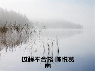 小说(过程不合格)全文免费阅读_( 陈悦葛南)小说全文免费阅读
