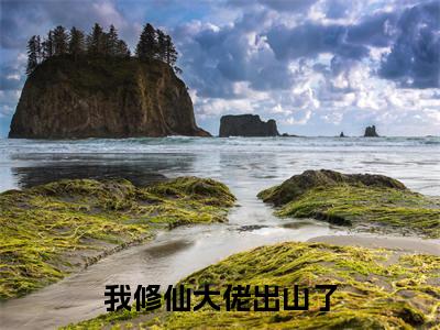 我修仙大佬出山了《楚南小说免费阅读》完整-我修仙大佬出山了小说(楚南)全文最新阅读