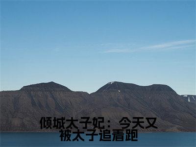 倾城太子妃：今天又被太子追着跑全文免费阅读大结局_倾城太子妃：今天又被太子追着跑（ 卫韫叶朝歌）完整版在线赏析