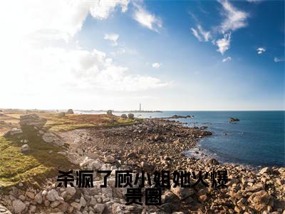 顾念薄穆琛(杀疯了顾小姐她火爆贵圈)全文免费阅读无弹窗大结局_顾念薄穆琛最新章节列表_笔趣阁