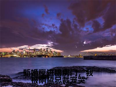 唐黎月郁墨渊(新婚夜进错房门,我被阴鸷总裁宠哭全文免费阅读)无弹窗-唐黎月郁墨渊(新婚夜进错房门,我被阴鸷总裁宠哭)完整版在线赏析笔趣阁