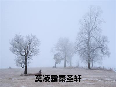莫凌霜秦圣轩小说完整版阅读-小说莫凌霜秦圣轩全文免费阅读