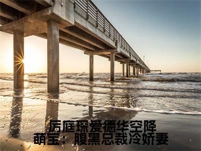  厉庭琛爱德华（空降萌宝：腹黑总裁冷娇妻）全文免费阅读无弹窗大结局_ 厉庭琛爱德华全文免费阅读