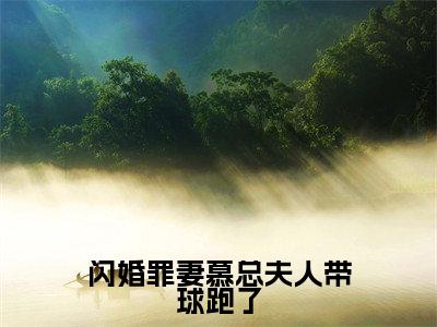 闪婚罪妻慕总夫人带球跑了无广告免费阅读-小说温尔晚慕言深最后结局如何