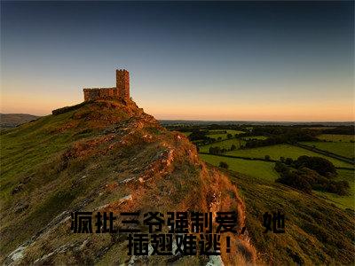 疯批三爷强制爱,她插翅难逃!全文最新章节(巫栀渺司夜枭)全文免费阅读无弹窗大结局_巫栀渺司夜枭免费阅读