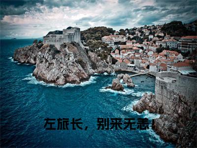左旅长,别来无恙! 小说(苏月瑶左淮之)全文免费左旅长,别来无恙! 阅读无弹窗大结局-(苏月瑶左淮之)笔趣阁