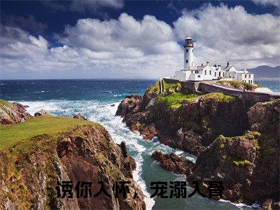 诱你入怀,宠溺入骨无广告小说(夏沫夜爵)全文免费阅读无弹窗大结局-诱你入怀,宠溺入骨在线阅读