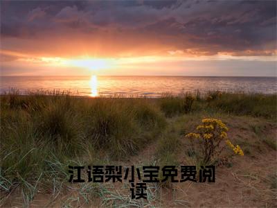 奶崽联萌：团宠小祖宗A爆了全文（ 江语梨小宝）全文免费阅读无弹窗大结局_ 江语梨小宝最新章节列表_笔趣阁（奶崽联萌：团宠小祖宗A爆了）