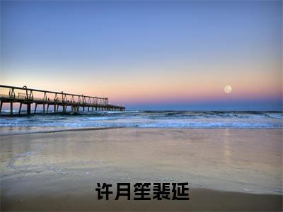 许月笙裴延全本资源免费阅读结局无删节-裴延许月笙小说全文阅读无弹窗（许月笙裴延）